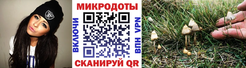 где найти наркотики  Михайловск  Галлюциногенные грибы Cubensis 