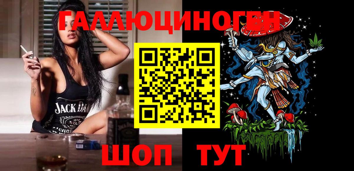 Псилоцибиновые грибы Psilocybine cubensis Михайловск