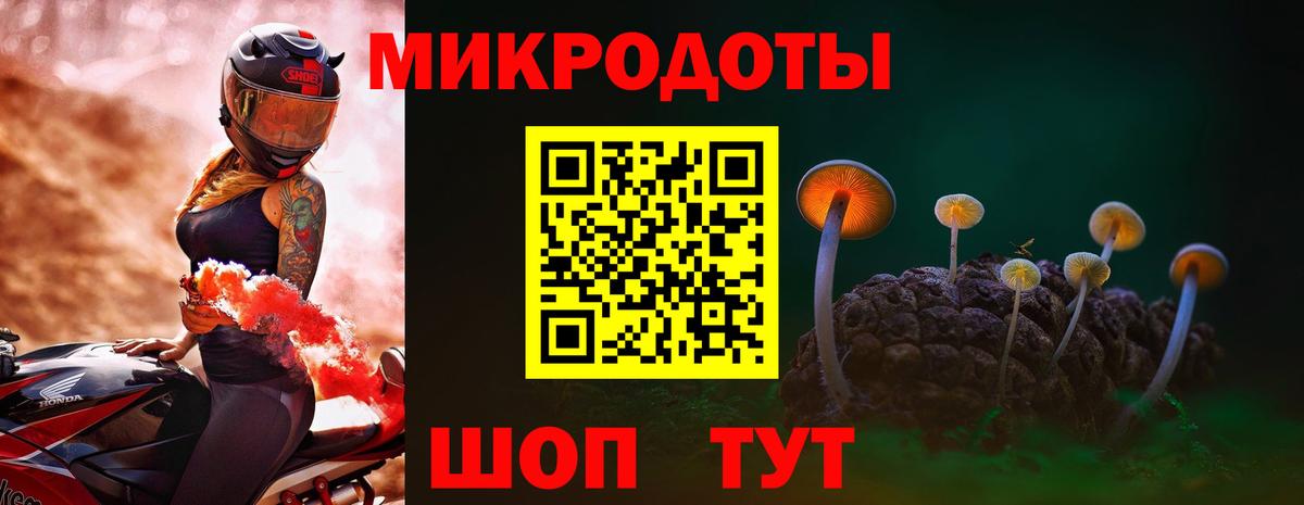 Псилоцибиновые грибы Cubensis  Вход с VPN  где найти   Михайловск 